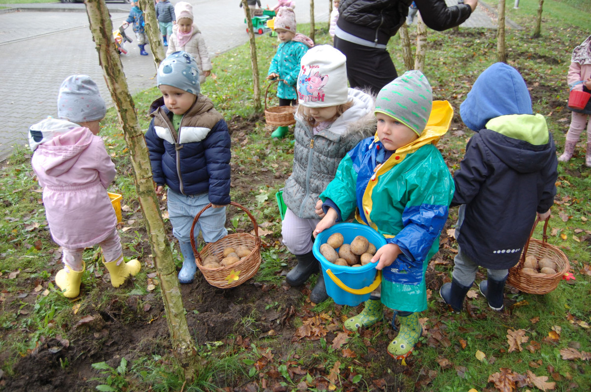 Tydzień z ziemniakiem